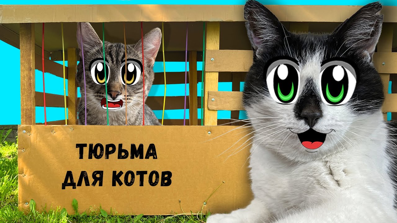 Побег из тюрьмы: Кто последний покинет картонную тюрьму — Малыш или Яни? 24-часовой челлендж