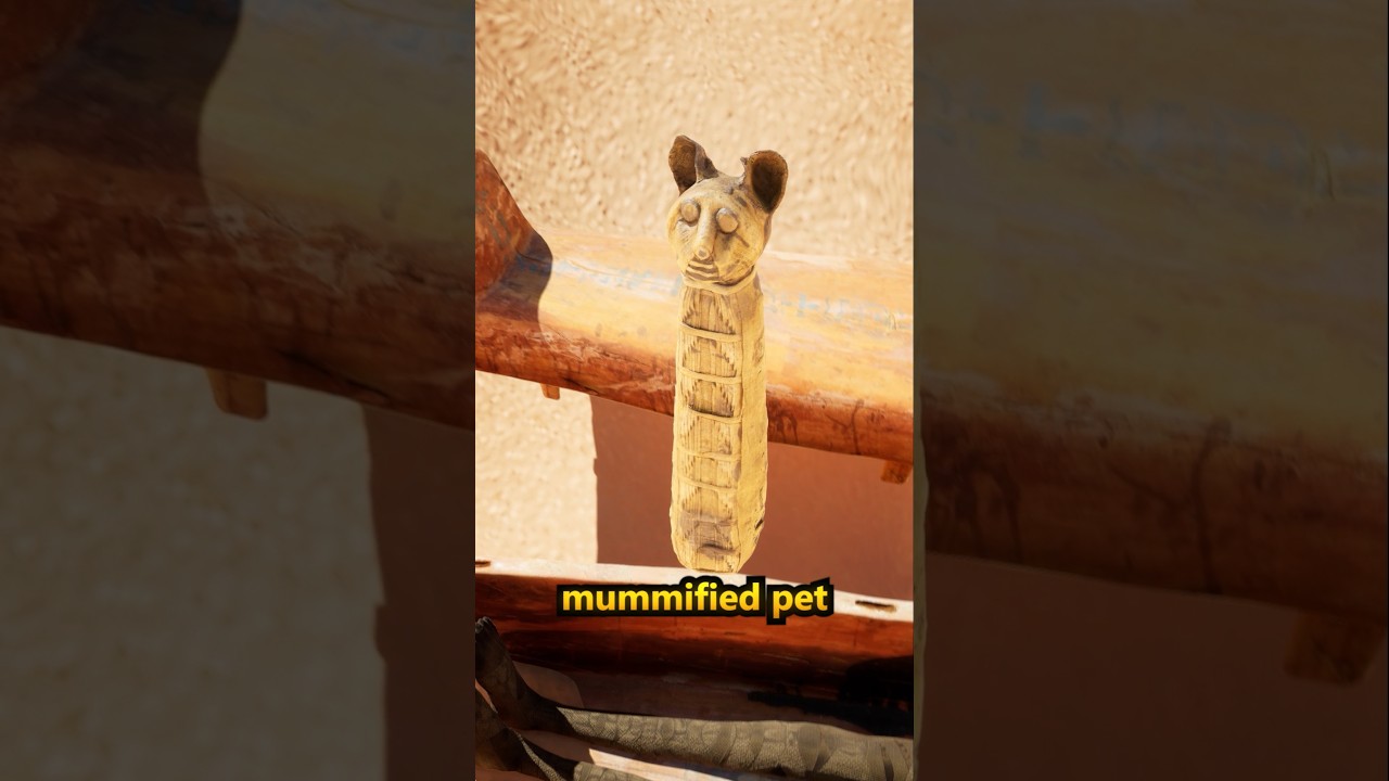 Why Ancient Egyptians Buried Pets 🐾