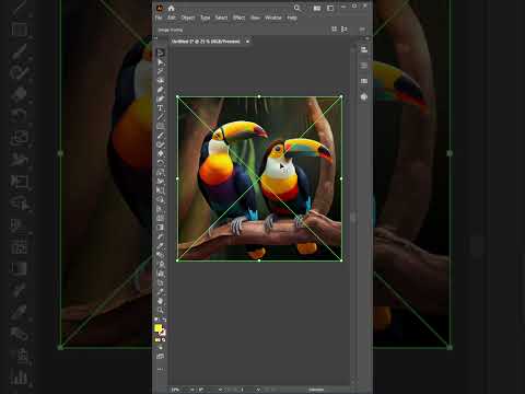 Convert Image to Vector in Adobe Illustrator cc Tutorial | Vectorize Image | Graphic Design