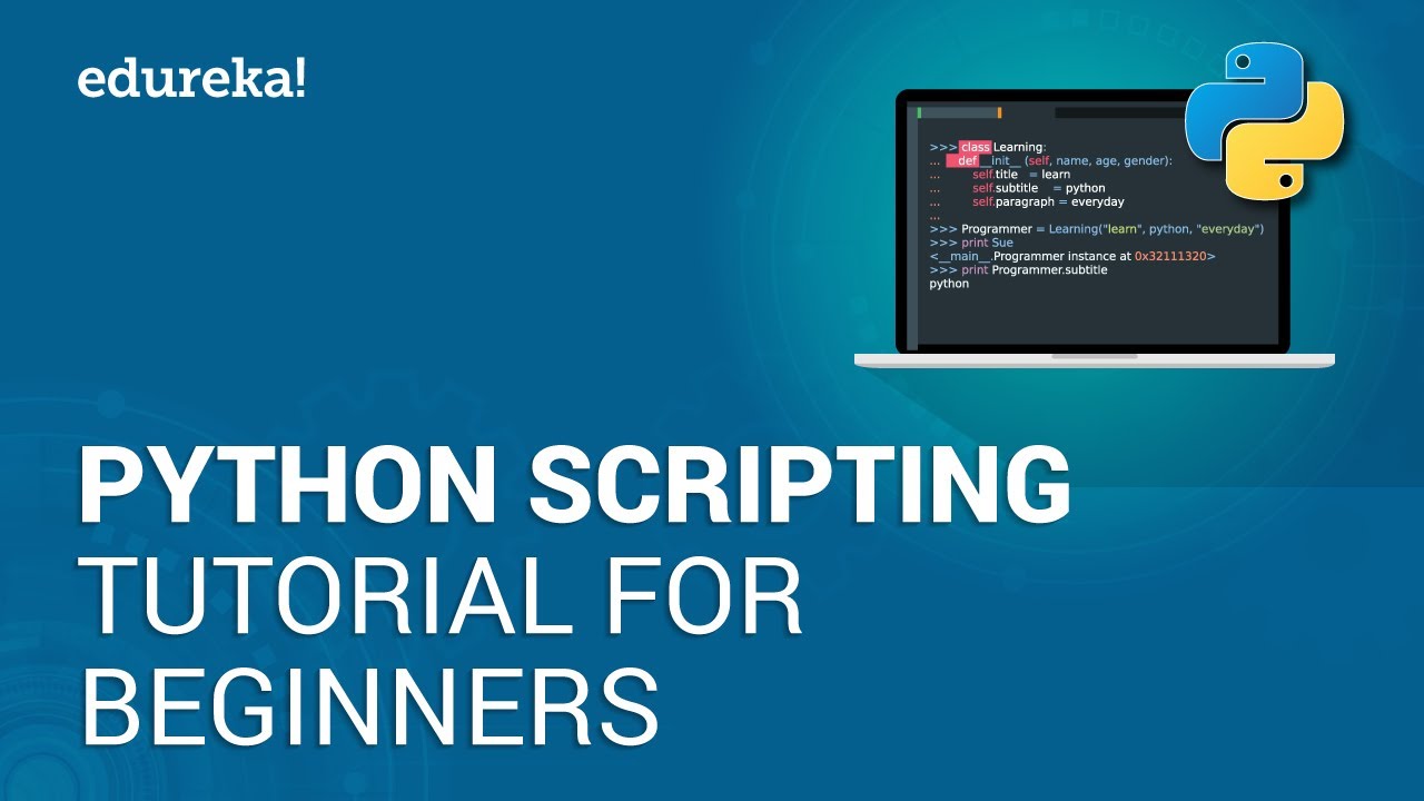 Python Scripting for Beginners: Complete Tutorial & Training 🎓
