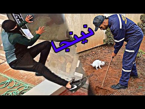 فيلم قصير عن نينجا وصلاة على النبي ﷺ