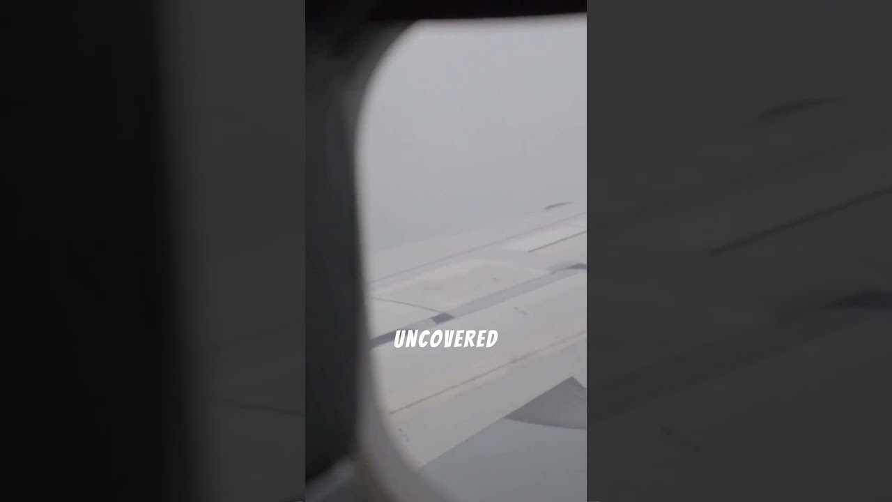 A Famous Musician's Last Flight