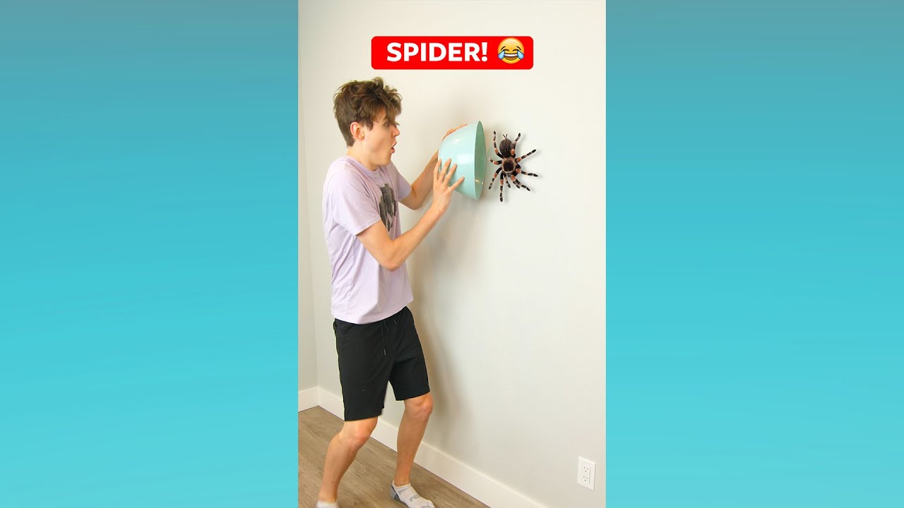 Spider Encounter! 😂 #shorts