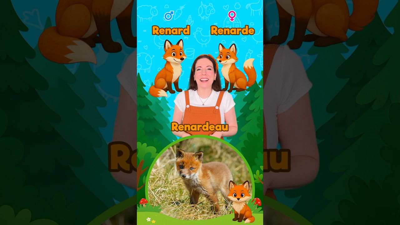 Animaux en famille 🇫🇷 : Apprendre pour enfants