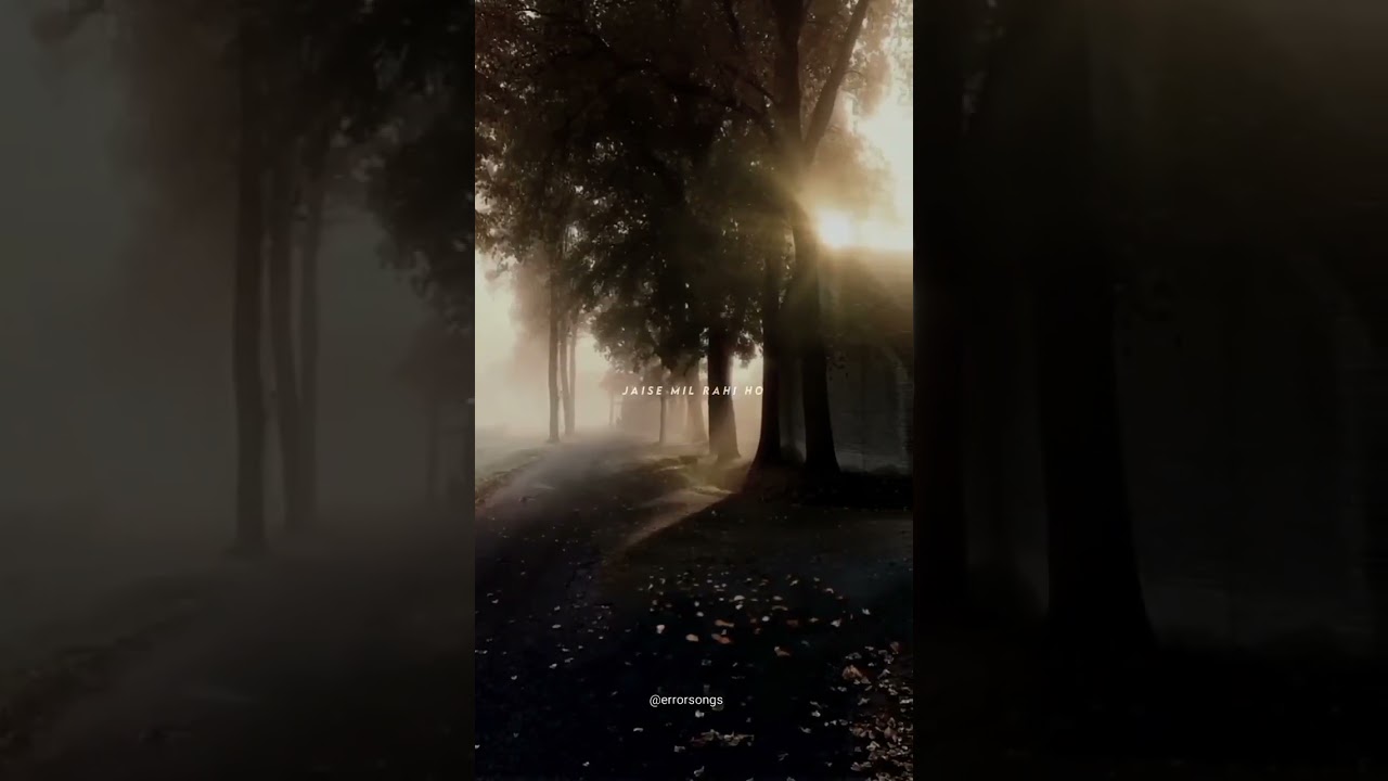 Qaafirana Song | Kedarnath 🎶