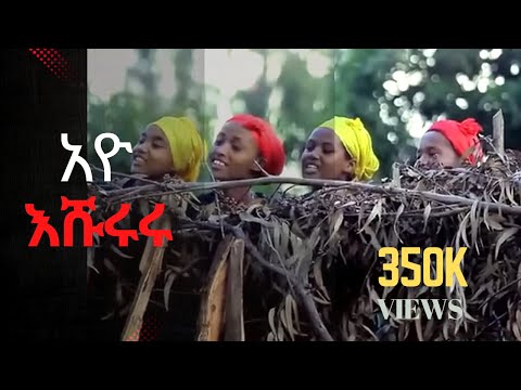 Ayo Eshururu Guragigna l አዮ እሹሩሩ l Ethiopian Music