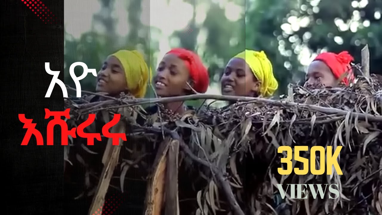 Discover the Rich Rhythms of Gurage Music 🎶 | Ethiopian Cultural Showcase