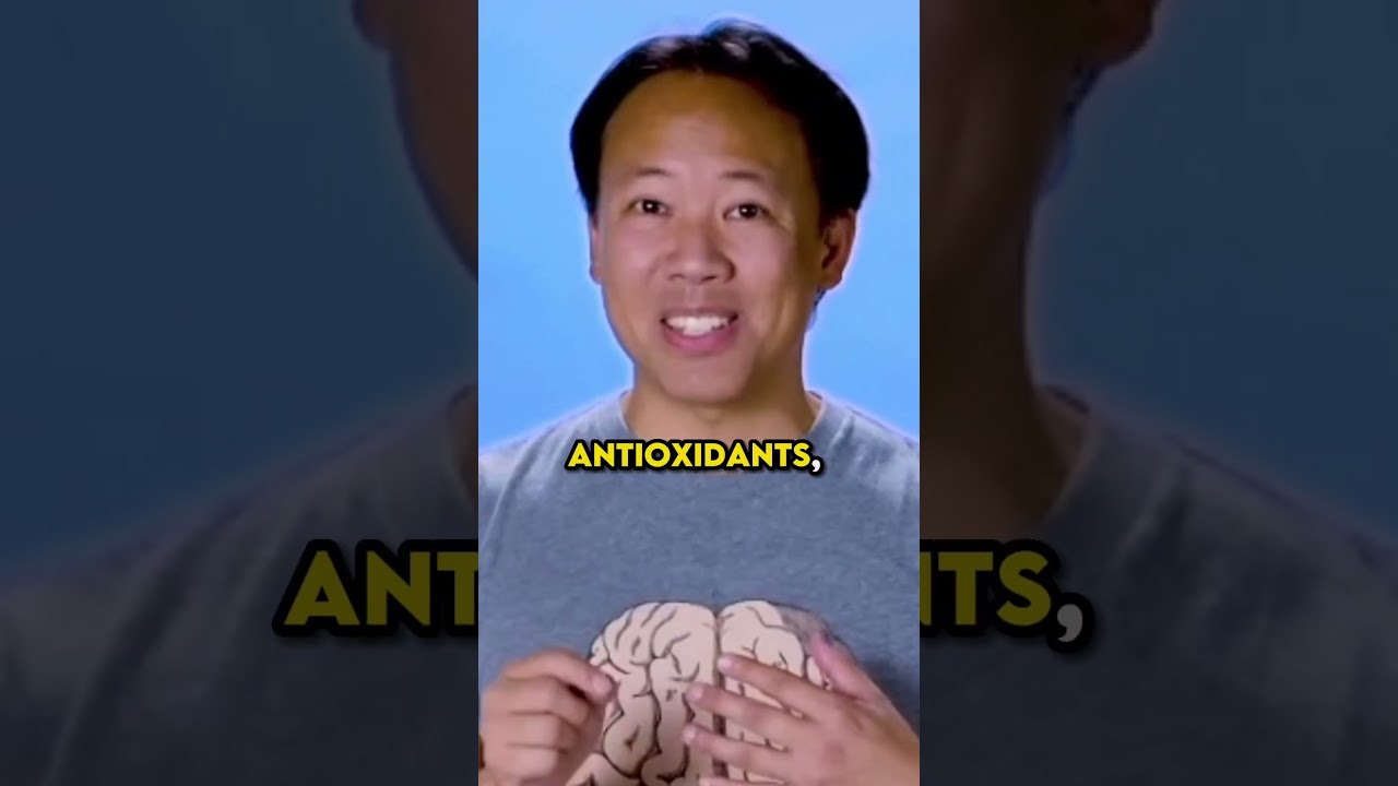 Best Brain Foods for Optimal Brain Health 🧠