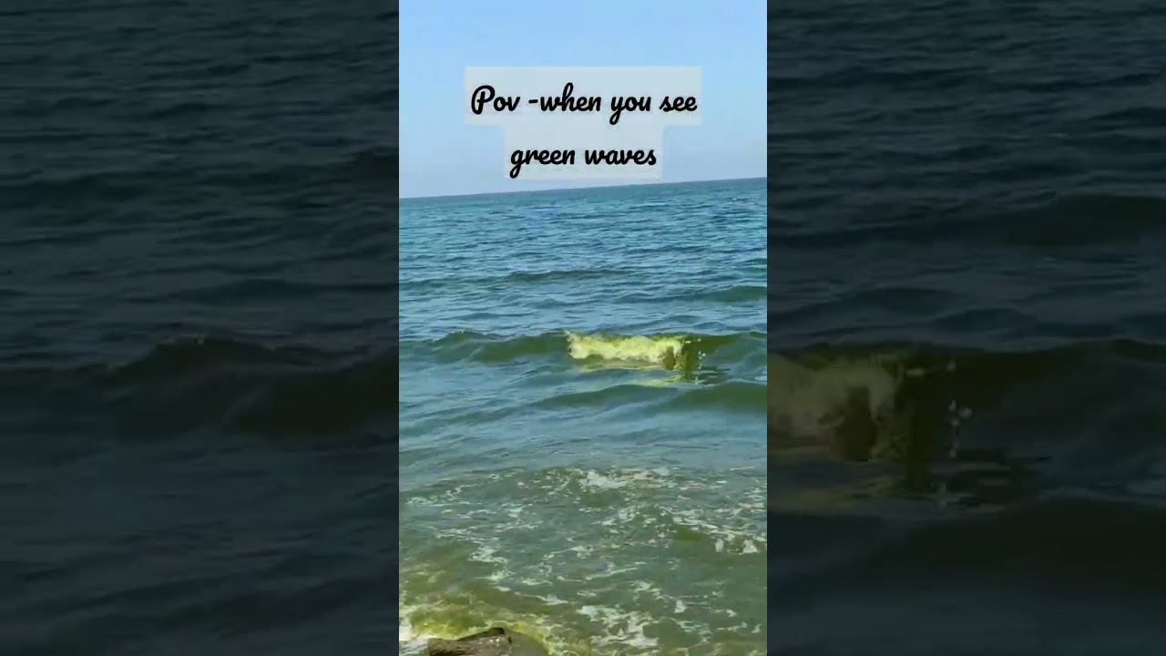 Green Tide 🌊 at the Beach