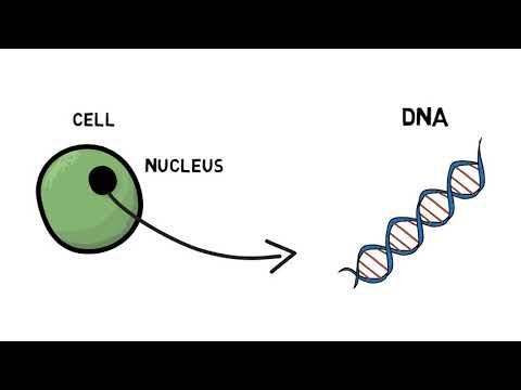 What is genetic testing?