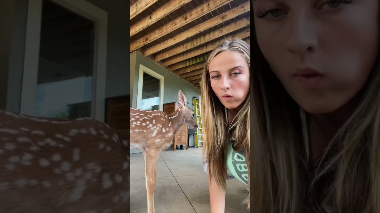 2020 Lex Shows Severe ADHD Symptoms