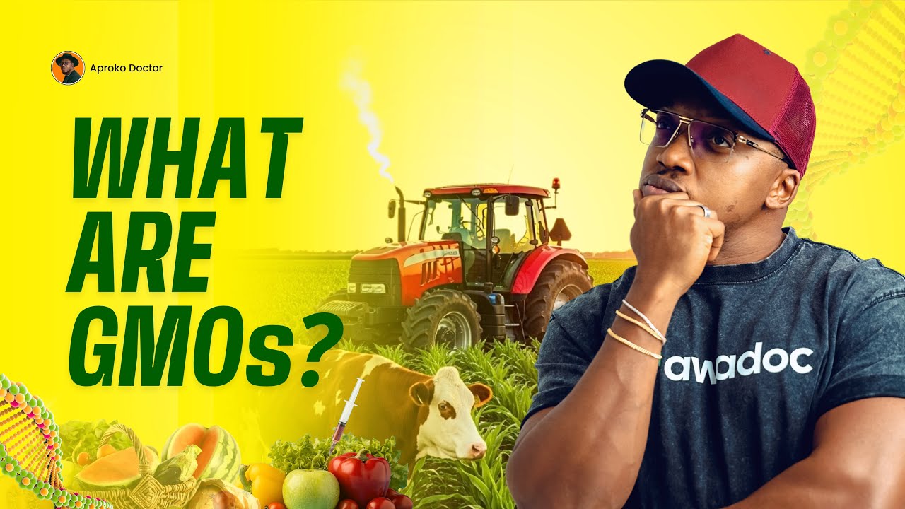 Are GMOs Safe? The Truth About GMO Foods 🌱