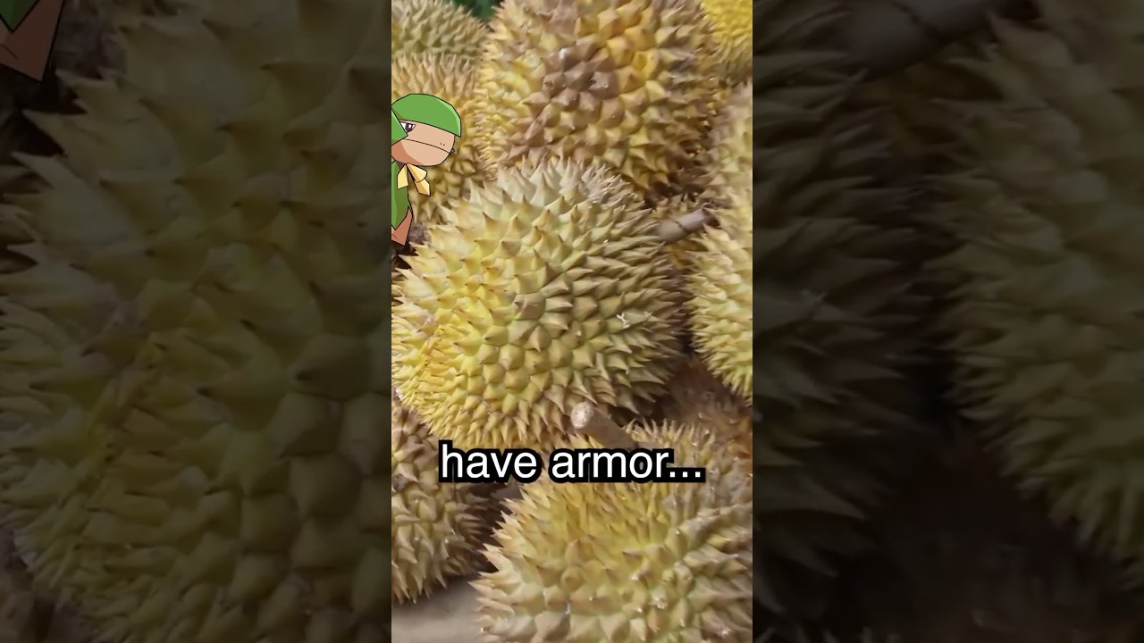 Fruit Tier List 🍎