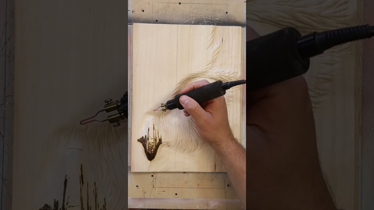 Wood Carving & Burning of an Owl π¦