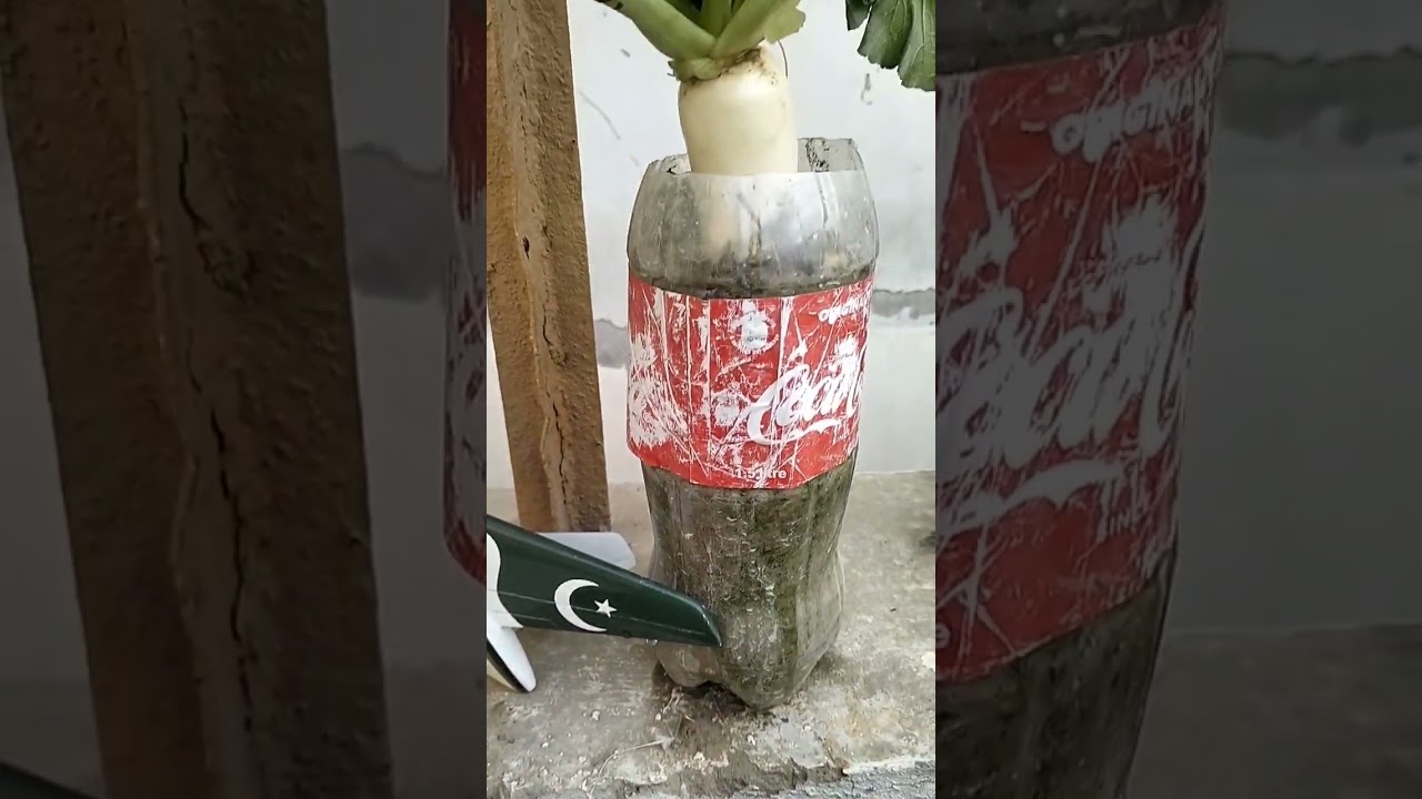 Growing Pain Chinese Drama Ep 1 🌟 | English Subtitles | Viral Short