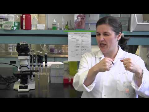 Why Math? - Episode 3 - Toronto Zoo: Reproduction