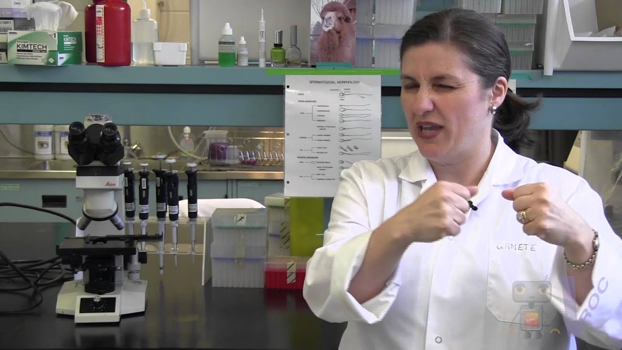 Why Math Matters in Animal Reproduction 🦒 | Toronto Zoo Episode 3