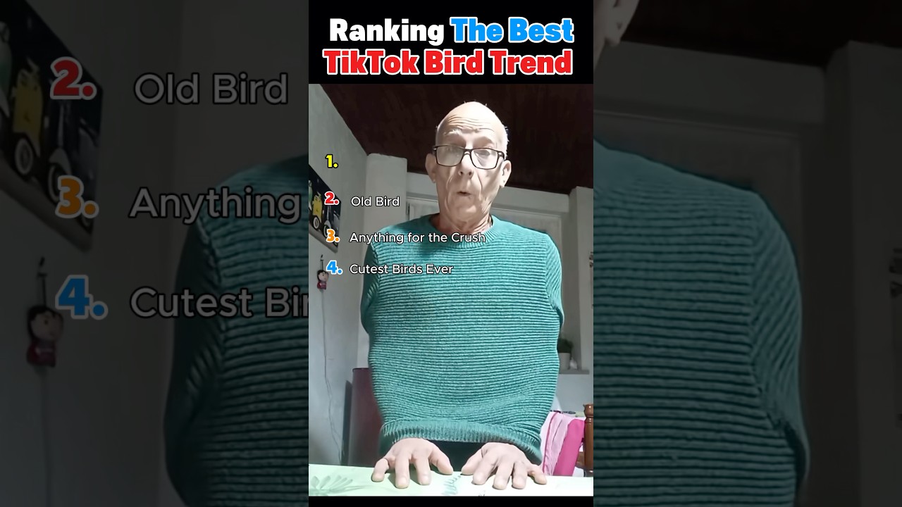 Top TikTok Bird Trends of All Time 🐦