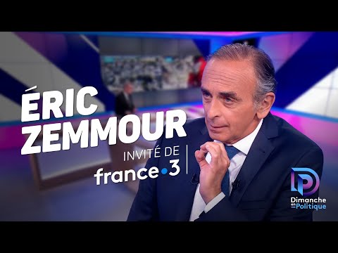 Eric Zemmour sur France 3 : Déclarations sur la violence et les insultes envers certains Français