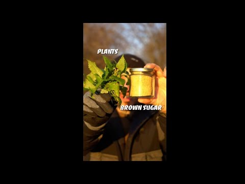 FPJ - Fermented Plant Juice! #short #shorts