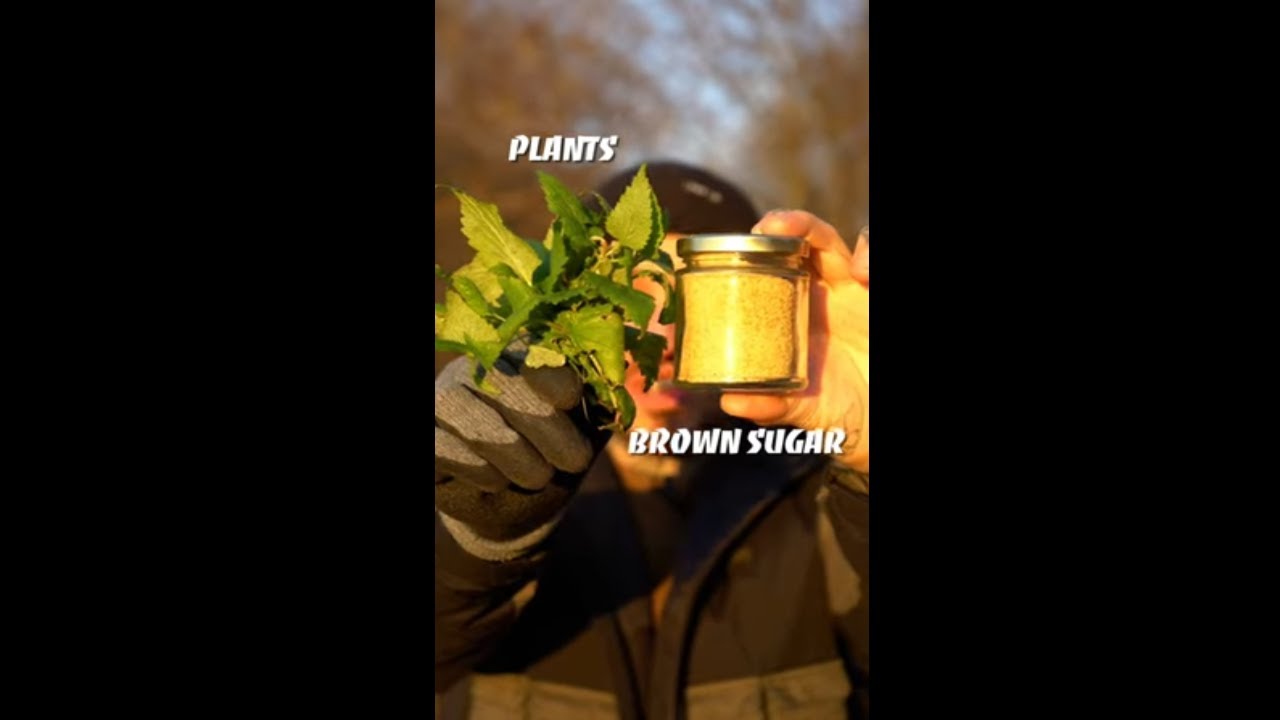 FPJ - Fermented Plant Juice: A Natural Nutrient Source for Your Plants