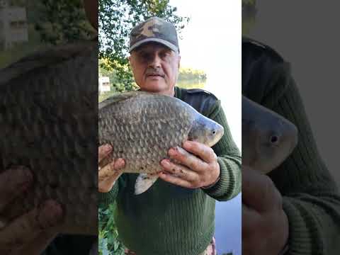 Брагин Рыбалка в Германии!