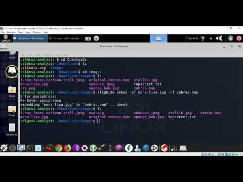 Using Steghide for Hiding and Extracting Data