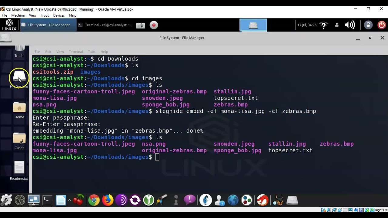 Master Steghide: Hide and Extract Data Easily π
