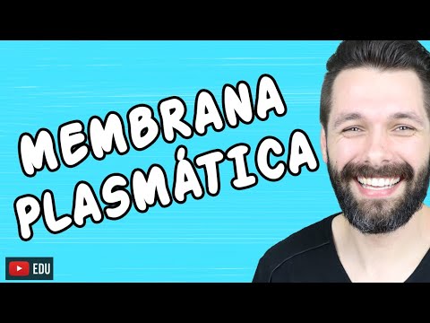 Membrana Plasmática na Célula - Citologia 🧬