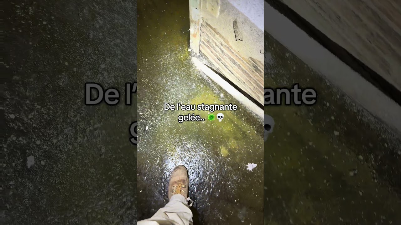 Exploration d'une maison abandonnée à Chicago 🏚️