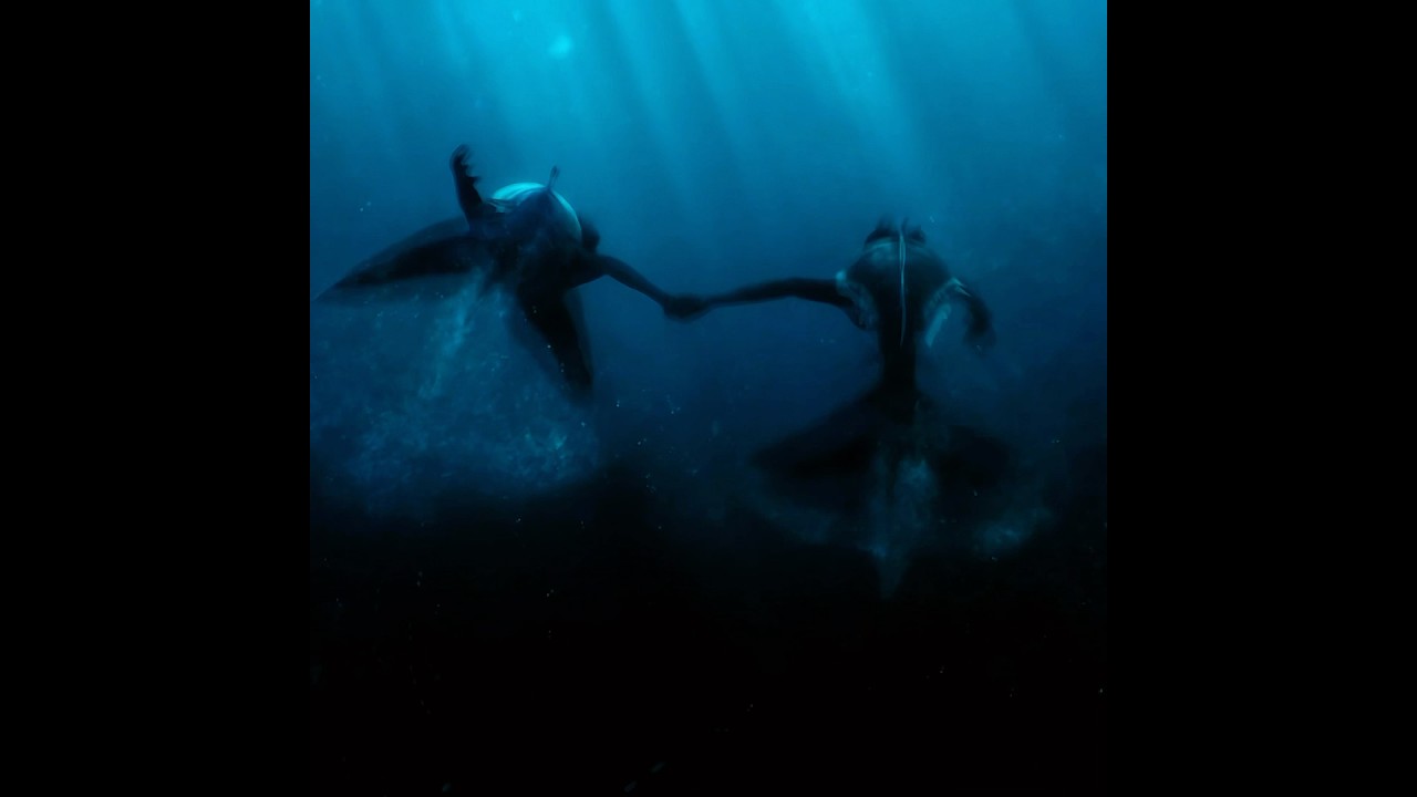 The Enchanting Allure of the Siren 🧜‍♀️