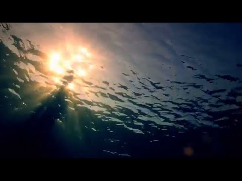 10 Minute Headache relief music | Brainwave entrainment  | Relaxation for Health & Pain relief