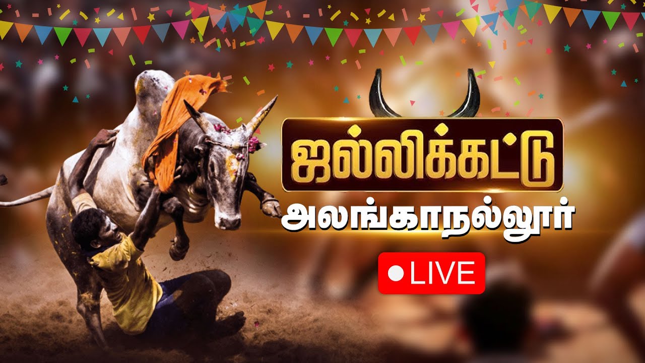 Live Jallikattu from Alanganallur 🐂 | Suryan FM