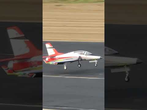 E-FLITE VIPER 90 LANDING-BUTTER-