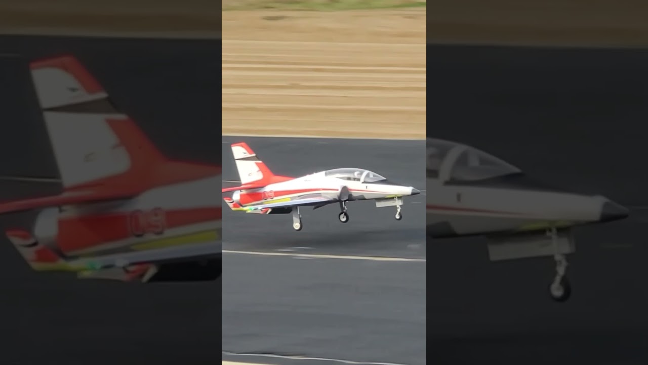 E-FLITE VIPER 90 Landing Issue 🛬