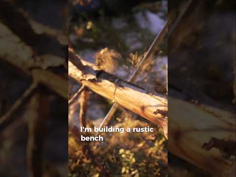 Why I couldn't fully enjoy this place... #bushcraft #survival #woodworking #enjoythemoment