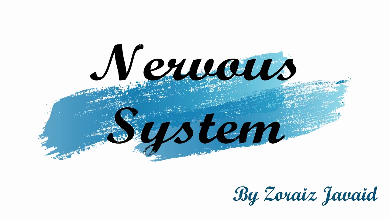 Science GED: Unit 2: Life Science - Science Lesson 3: Human Body System