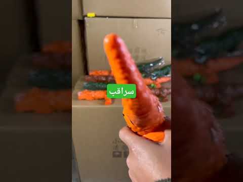 سراقب رح تقدم أفضل المنتجات لبدء مشاريع ضخمة #سوريا #اكسبلور