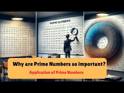 Application of Prime Numbers | Why are they so importance