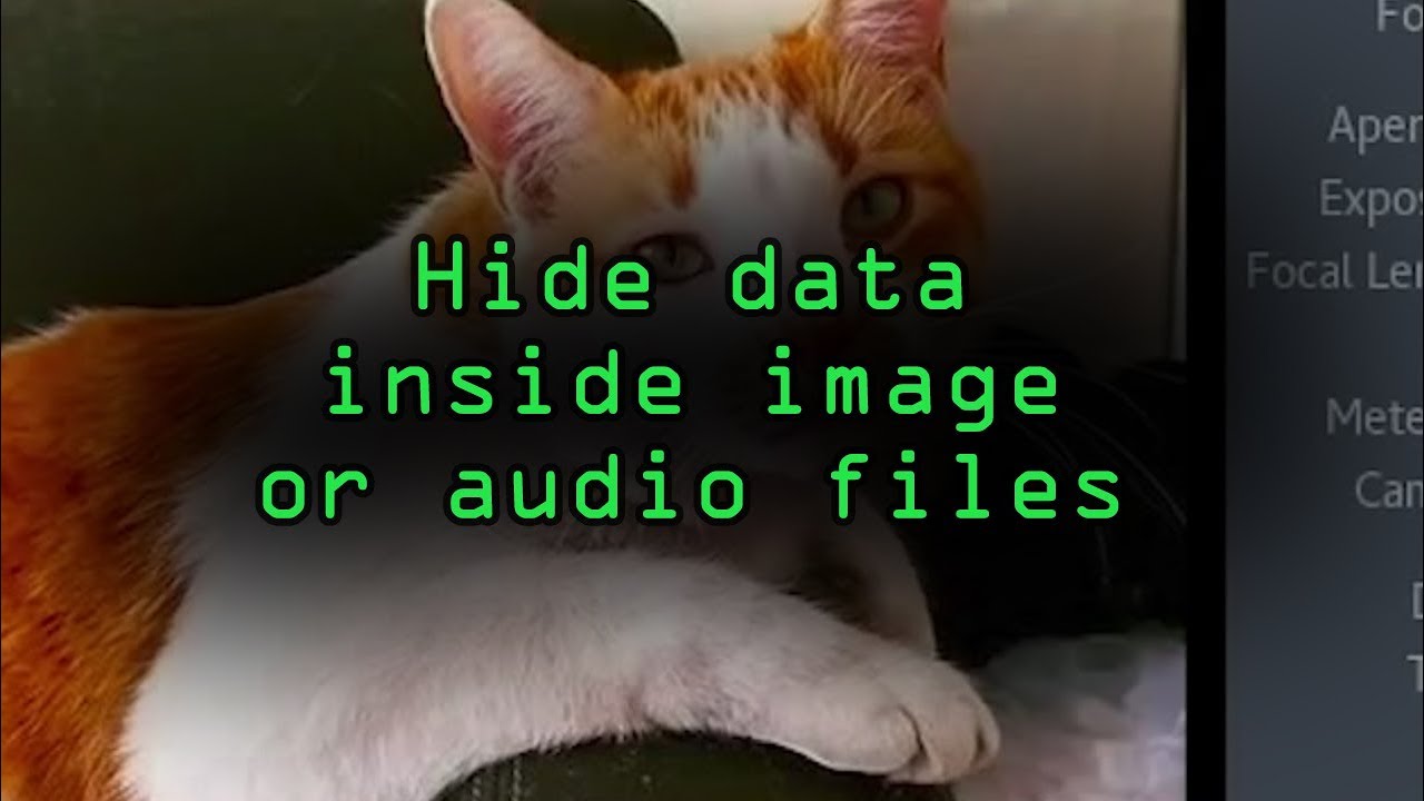 Master Steganography: Hide Secret Data in Images & Audio with Steghide π―