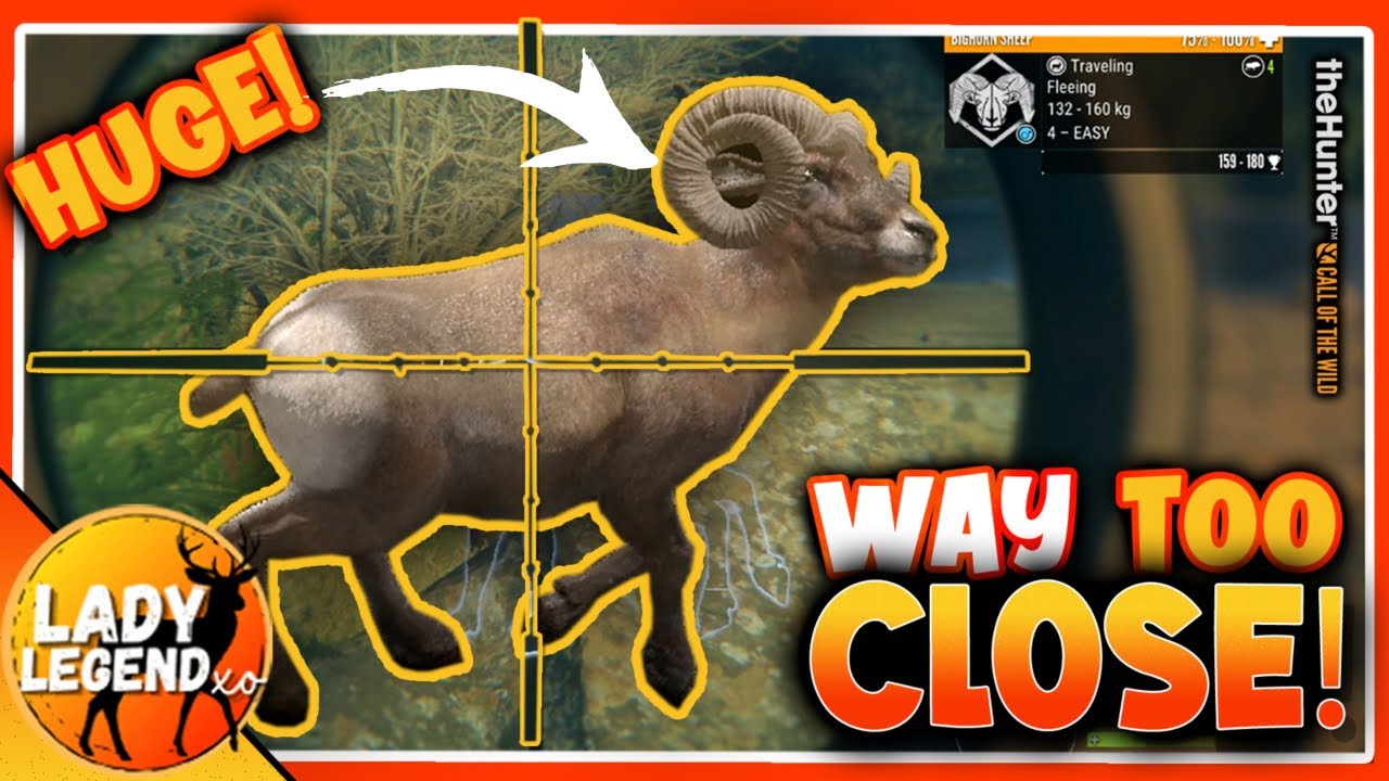 Epic Save During Trophy Hunt! 🦌