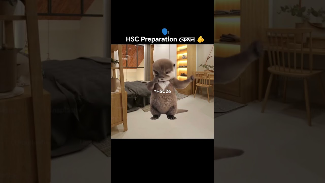 POV. HSC 2026 preparation🙂 hsc26। exam। #hsc2026 #exam