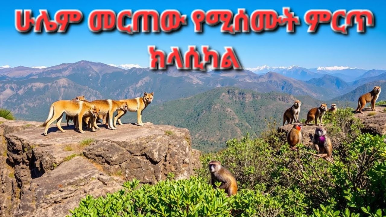 Best Ethiopia Classical Music Collection ምርጥ የክላሲካል ስብስብ