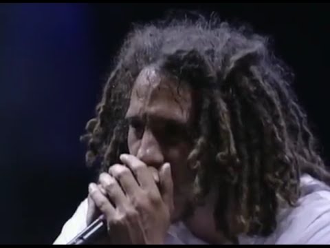 Rage Against the Machine - Vietnow Live at Woodstock 99 🎸