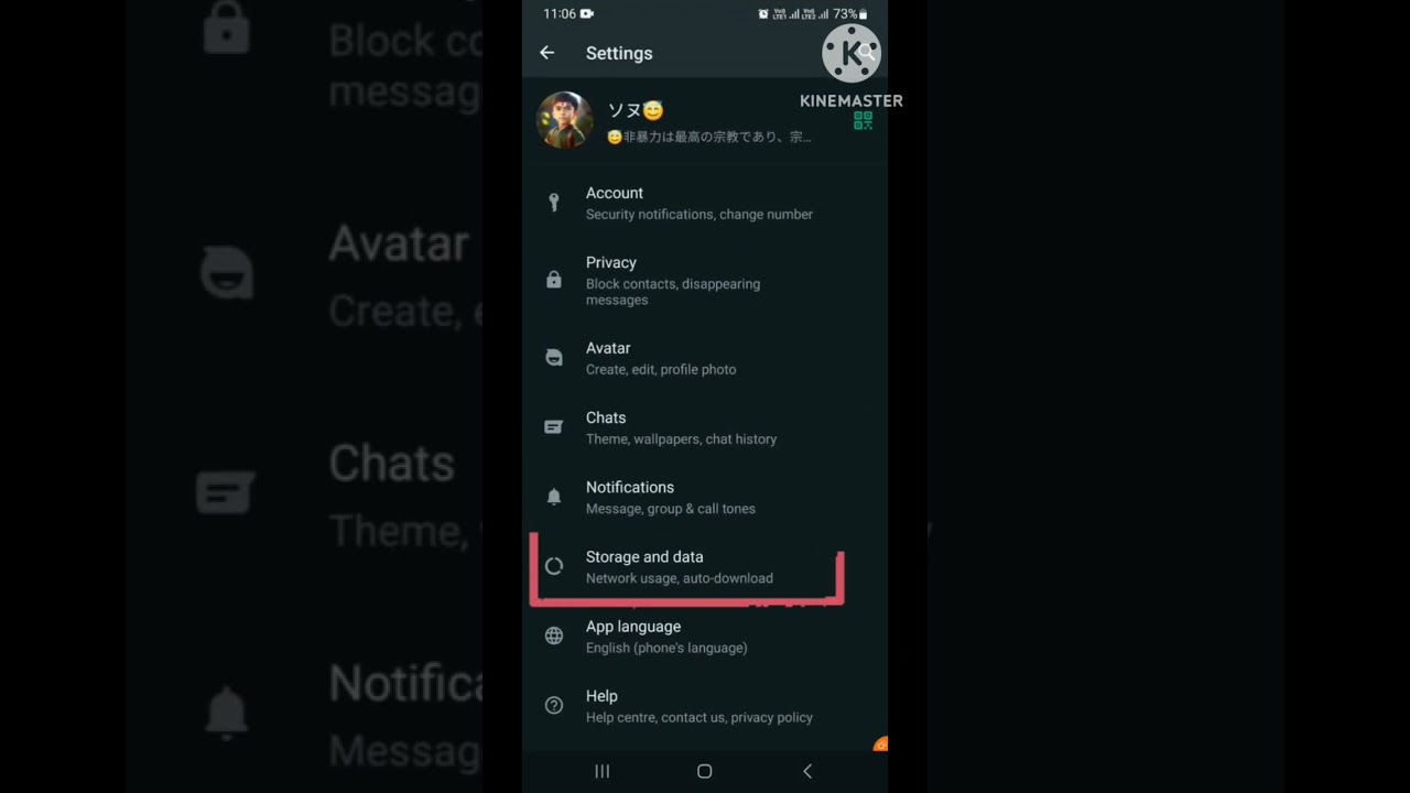 Save Data During WhatsApp Video Calls 📱