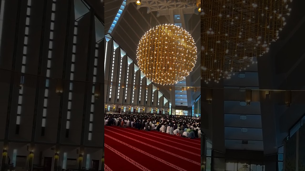 Trending Short Video Featuring Habibi Official 🌸