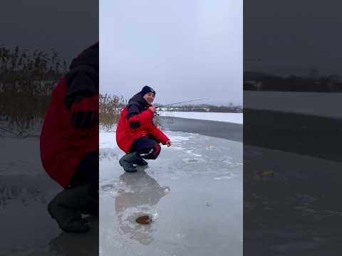 Открытие первого льда 😂| ТГ: Джасты #рыбалка #спиннинг #зима