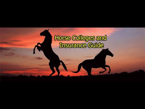 Pony and Mustang Horse Breeds π