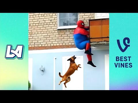 Top 50 Best Funny Videos In 2025 - Craziest Funny Fails