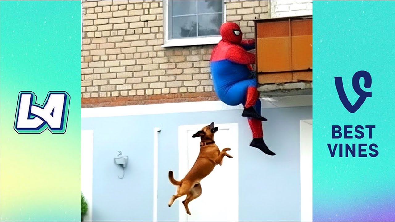 Top 50 Hilarious Fails & Funny Moments of 2025 | Top 50 Laugh-Out-Loud Videos 😂